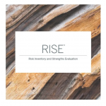 (RISE®) Risk Inventory and Strengths Evaluation 風險評估與優勢量表
