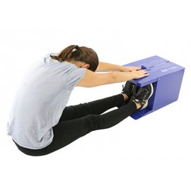 Sit n' Reach Trunk Flexibility Box 坐位及伸展軀幹柔韌度測試盒