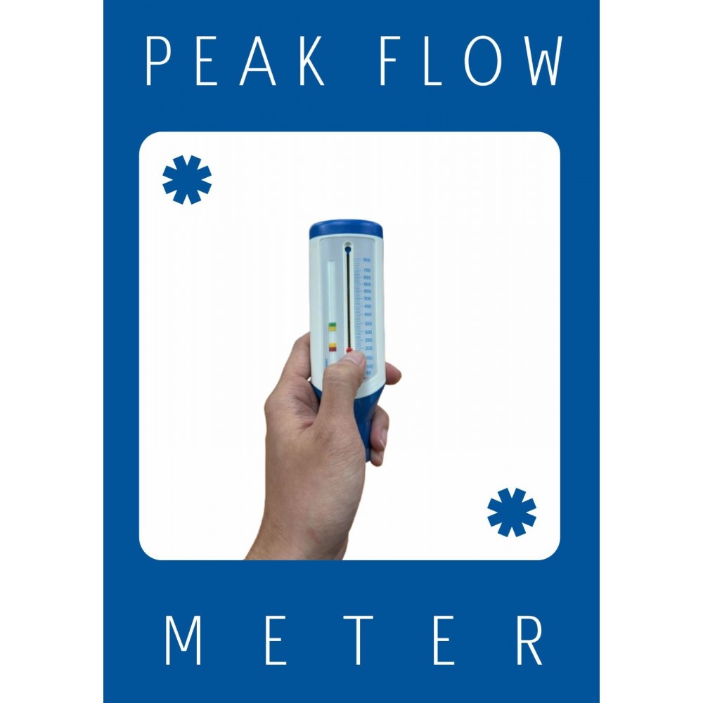 Peak Flow Meter 峰流速計