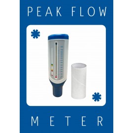 Peak Flow Meter 峰流速計