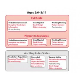 WPPSI-IV - Wechsler Preschool and Primary Scale of Intelligence | Fourth Edition 學前及初小智力量表（第四版）
