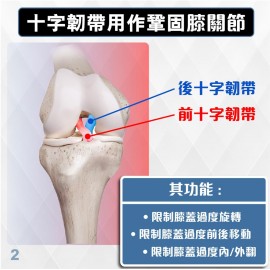 Medex K20b - All-in-one Knee Brace 多功能膝護托