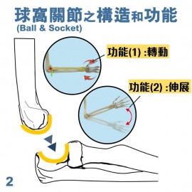 Medex E13b - Elbow Rom Brace Deluxe (Universal) (L/R) 肘限位固定護托