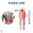 Medex B38b - Slimming Back Support (8 inch) 護腰帶 (附微調拉緊器)