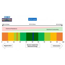 BCR-Therapie Biological Cell Regulation / BCR System Premium Wellness System With AI