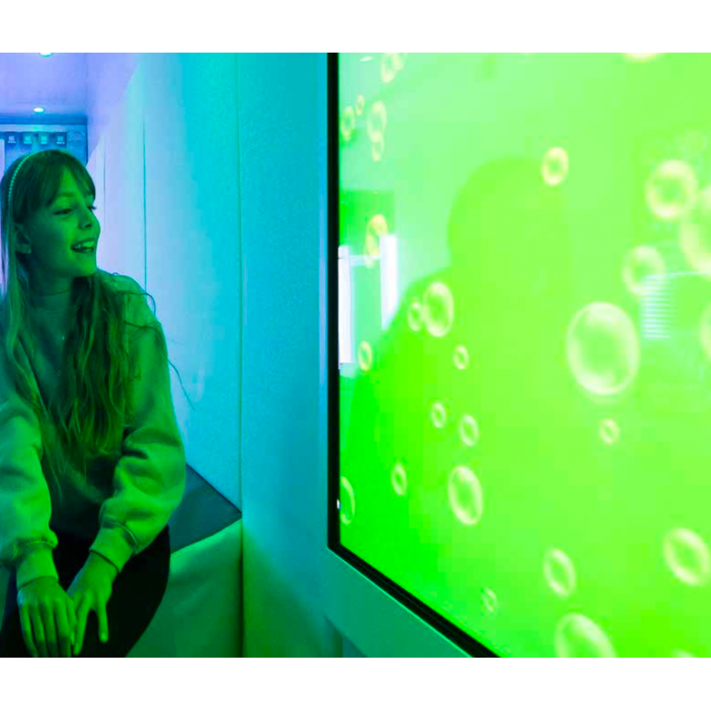 IntelliPanel Sensory Panels
