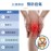 Medex K04 - Breathable Knee Support 透氣膝部護托