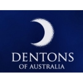 Dentons Anti-Snore Therapeutic Pillow - Dentons打鼾治療枕頭