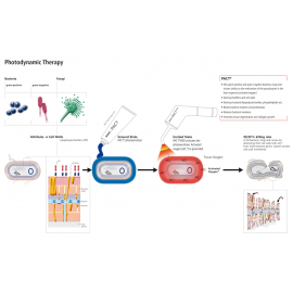 PACT Med Photodynamic Nail Fungus Therapy Kit PACT Med V2 光動力學指甲真菌治療套件