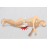 Hip Protector for Hip Fracture Prevention in Elderly - 臀部護具,減輕側向跌落造成的骨折損傷
